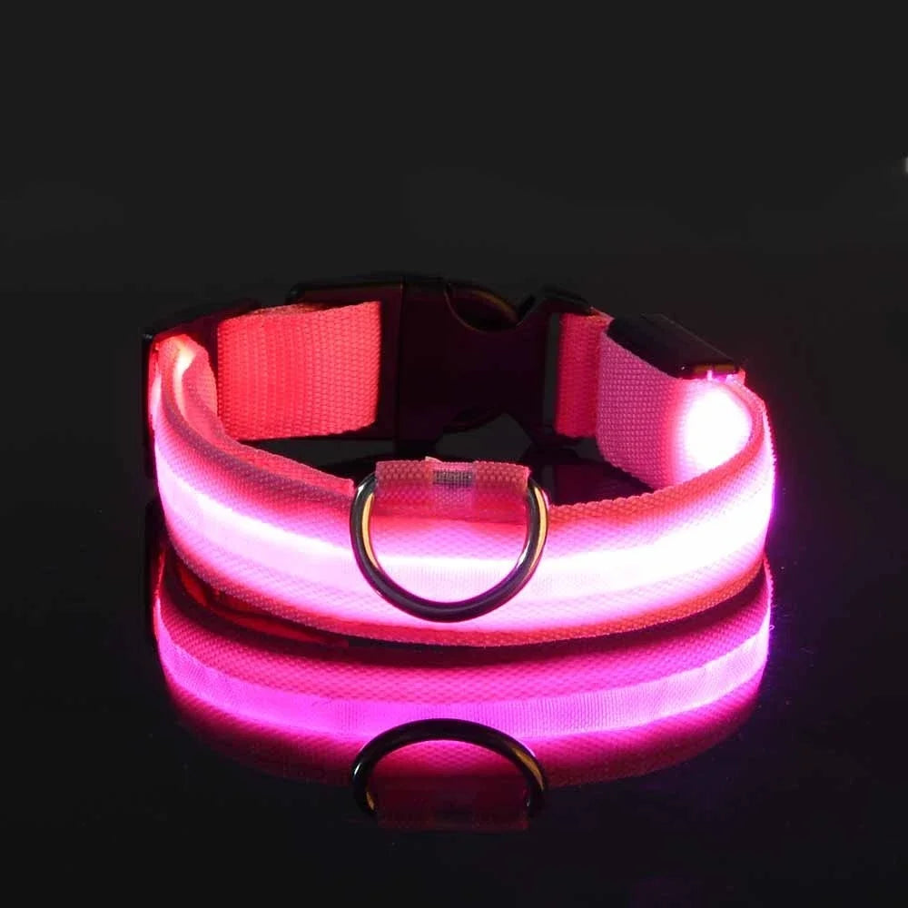 Glow-in-Dark Dog Leash