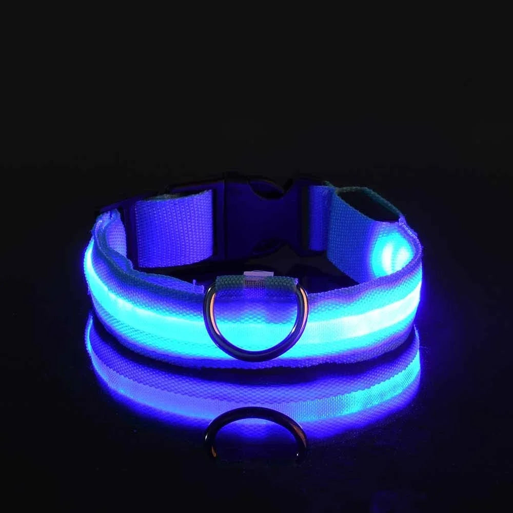 Glow-in-Dark Dog Leash
