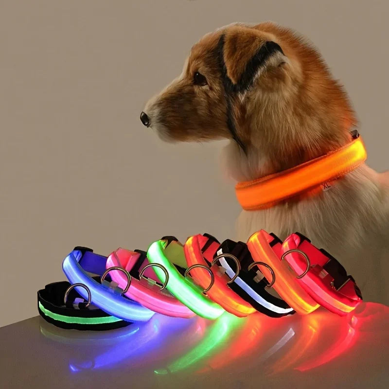 Glow-in-Dark Dog Leash