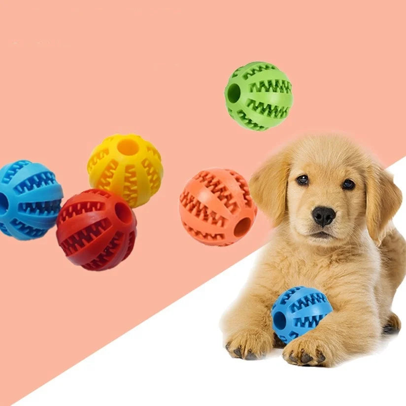Interactive Treat Toy Ball