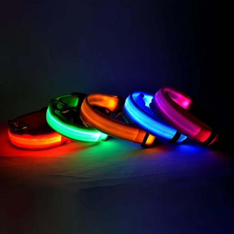 Glow-in-Dark Dog Leash