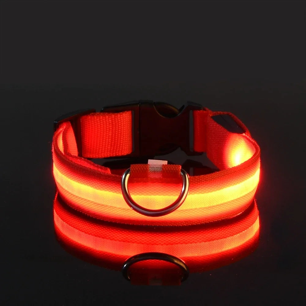 Glow-in-Dark Dog Leash