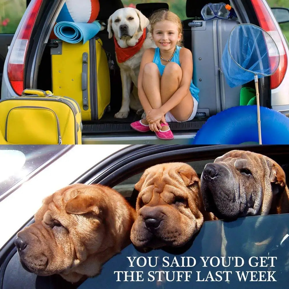Pet Car Safety Harness