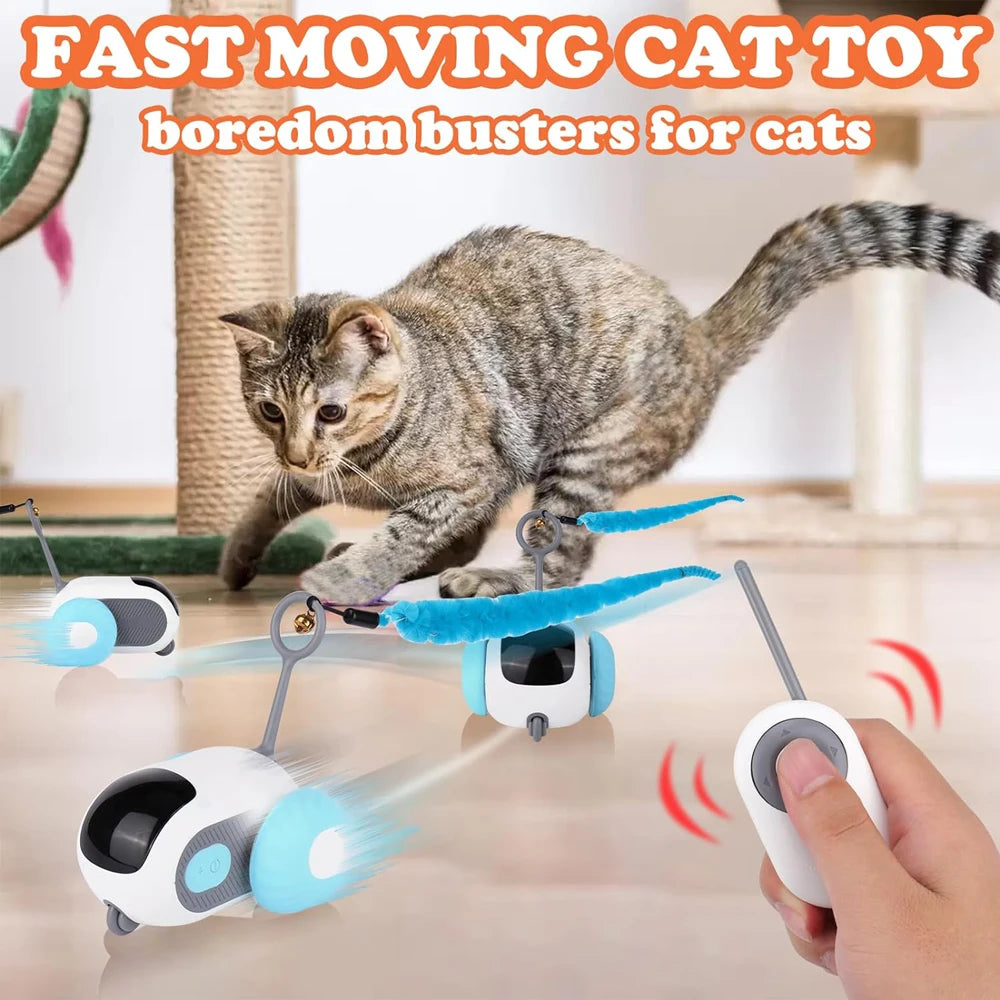 Smart Pet Fun Car