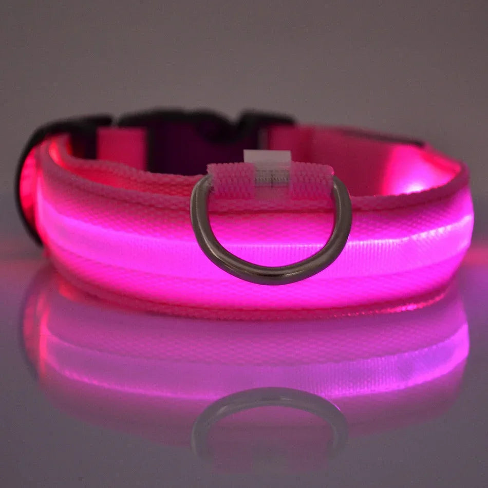 Glow-in-Dark Dog Leash
