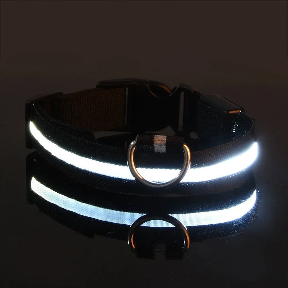 Glow-in-Dark Dog Leash