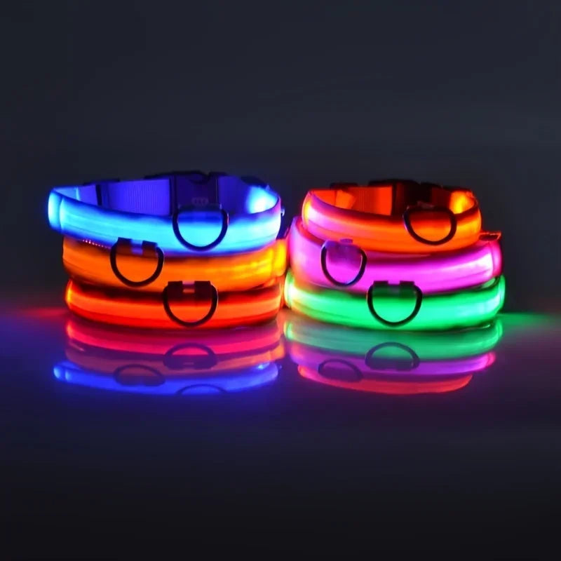 Glow-in-Dark Dog Leash