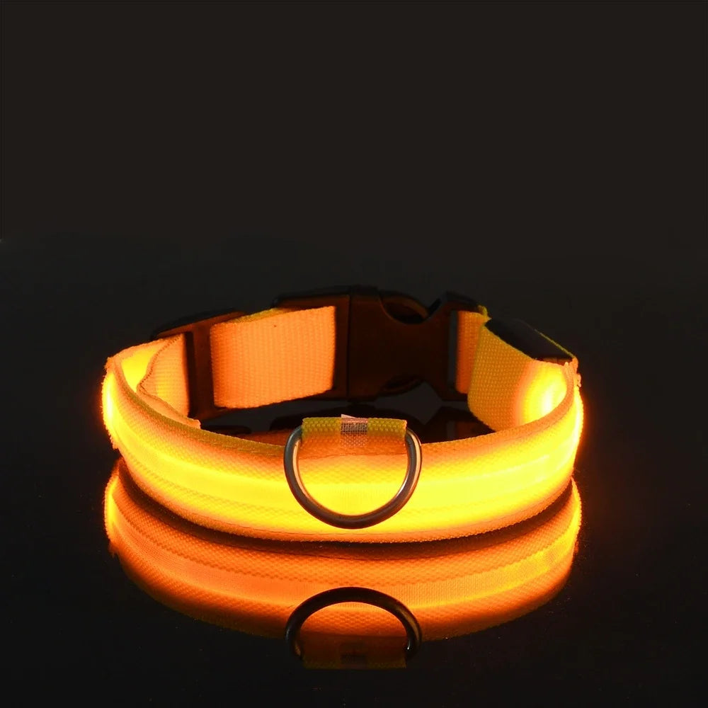 Glow-in-Dark Dog Leash