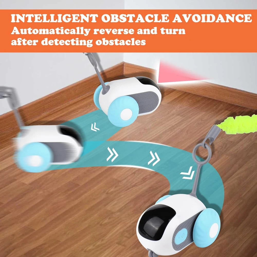 Smart Pet Fun Car