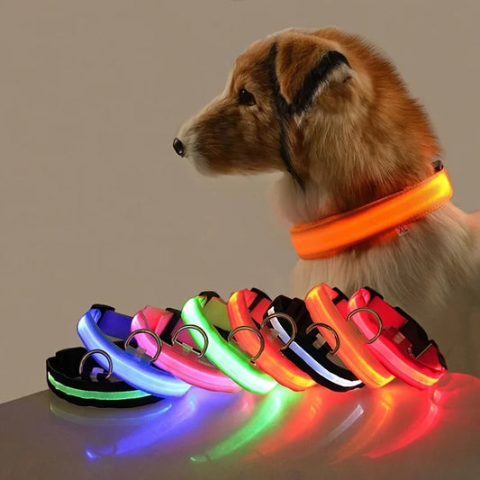 Glow-in-Dark Dog Leash