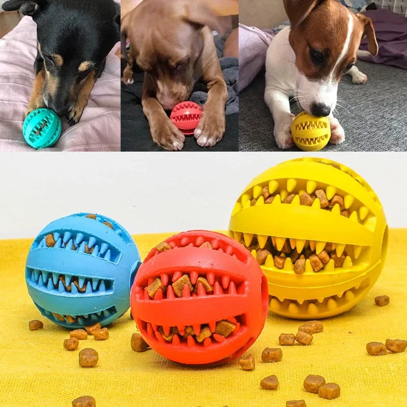 Interactive Treat Toy Ball