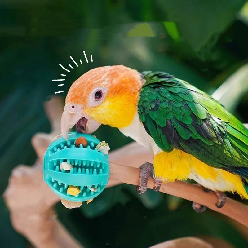 Interactive Treat Toy Ball
