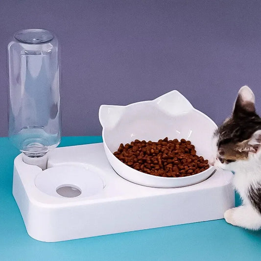 Ergonomic Pet Feeding Bowl
