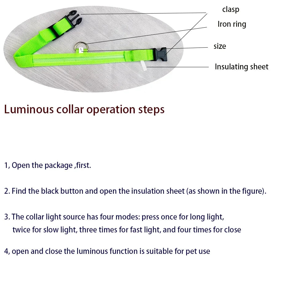 Glow-in-Dark Dog Leash