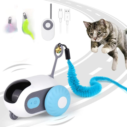 Smart Pet Fun Car