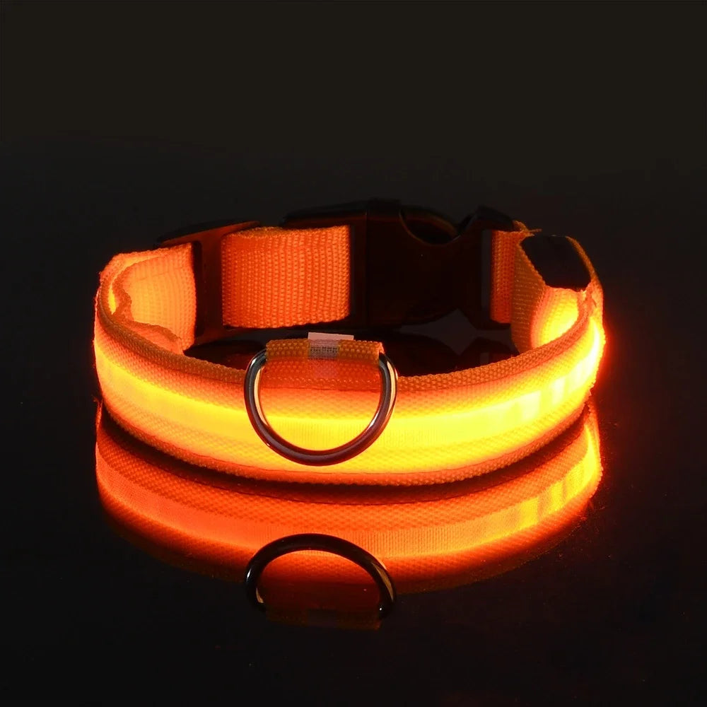 Glow-in-Dark Dog Leash