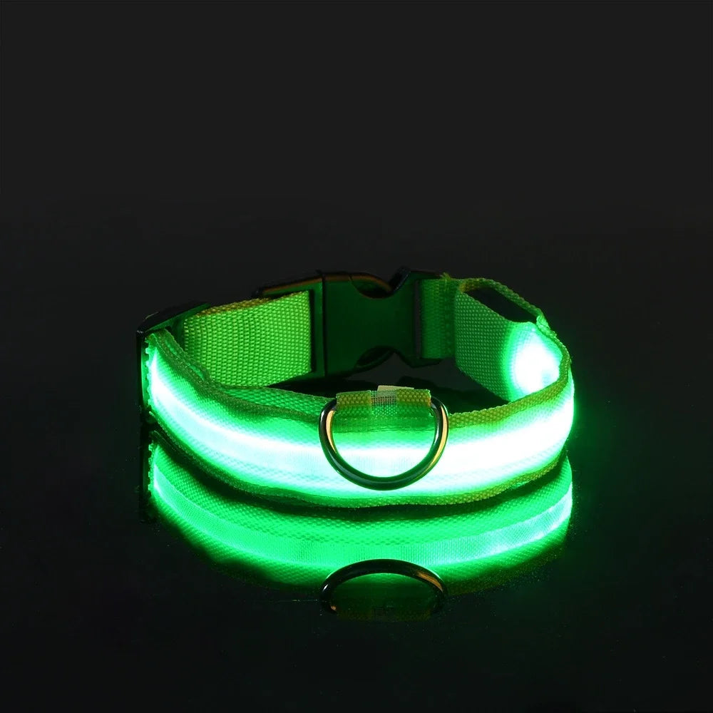 Glow-in-Dark Dog Leash